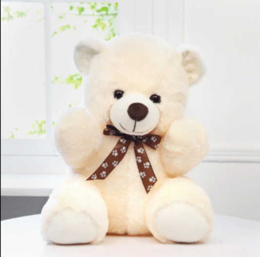 Love Combo Teddy Bear (40cm)